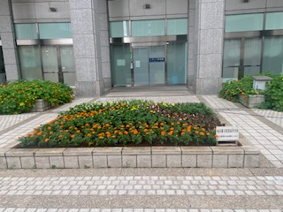 都庁花壇 全体